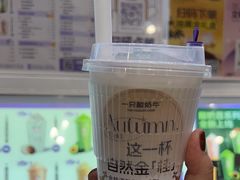 -一只酸奶牛(春熙路店)