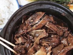 -百家春好德来姜母鸭