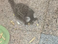 -上海大自然野生昆虫馆(东方明珠·爬宠昆虫探索中心)