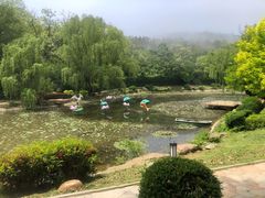 -棒棰岛宾馆景区