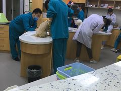 -联合动物医院(光谷诊疗中心)