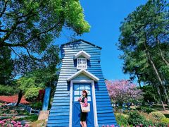 -铁山坪森林公园