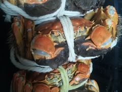 -阳澄湖大闸蟹·琼灵阁牌品牌连锁(吴中总店)