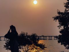 -宝安西湾红树林湿地公园