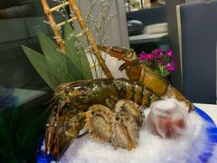-半岛听涛蒸汽海鲜自助(K11店)