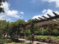 -白马涧龙池景区