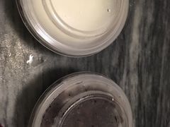 -老周记顺德双皮奶
