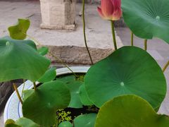 -西安市广仁寺