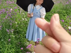 -紫颐香薰山谷景区