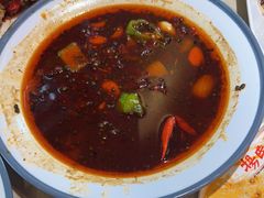 -杨氏青龙虾·羊蝎子(珠江路店)