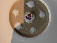 -百好乐宠物友好餐厅(朝外大街店)