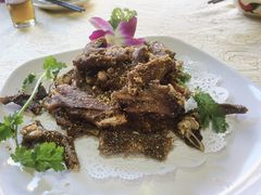 陈皮鸭翅-五邑人家(江门店)