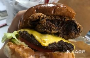 Mixed Carnival Burger