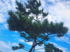 -柱状节理带