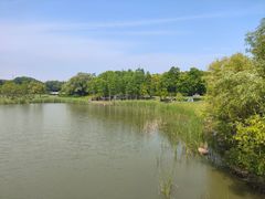 -贡湖湾湿地公园