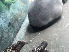 -杭州野生动物世界