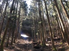 -上色见熊野座神社