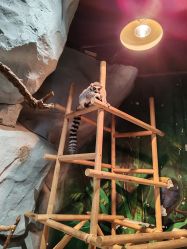 -Zoolung Zoolung动物主题公园(海信广场店)