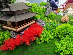 -丁老爷子苏香圆