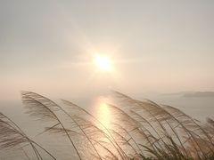 -东极岛景区