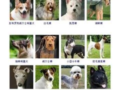 -天鹅到家·保姆月嫂育儿嫂(总店)
