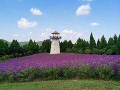 -中国香山·寿香谷