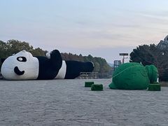 -苏州太湖国家湿地公园