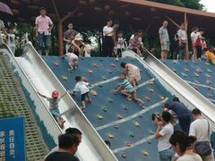 -宝安西湾红树林湿地公园