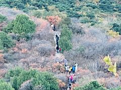 -北京西山国家森林公园