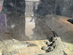-无锡动物园·太湖欢乐园
