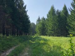 -塞罕坝国家级自然保护区