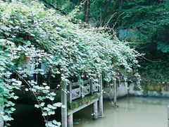 -天怡·鱼工厂(梅溪湖店)