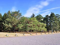 -京都御所