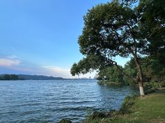 -浙江西子宾馆·牡丹厅