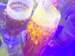 -胡桃里乐队酒馆(大庆店)
