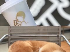 -喜茶(珠海华发商都店)