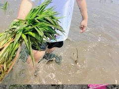 -中国天府农业博览园