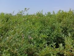 -千龙湖生态旅游度假区