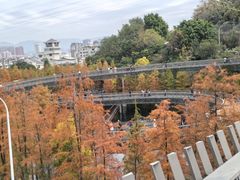 -福道
