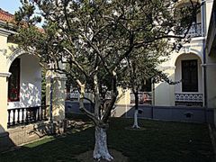 -南京中国近代史遗址博物馆(南京总统府)