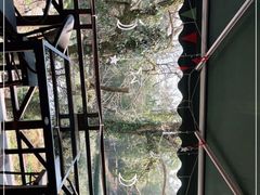 -随意茶庄·地道杭帮农家菜(梅家坞店)