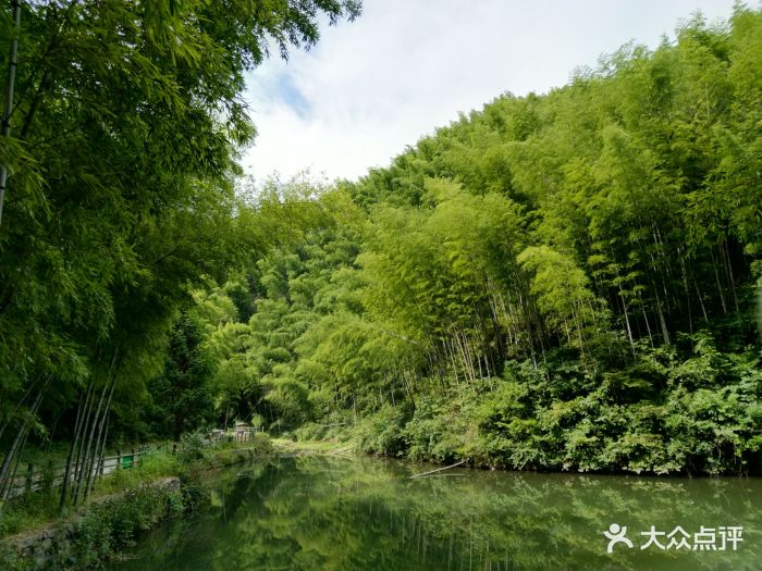 木坑竹海景區圖片 - 第77張