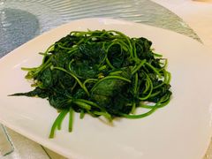 -三亚中亚国际大酒店