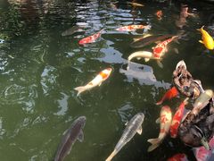 -湖鲜楼
