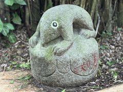 -呀诺达热带雨林