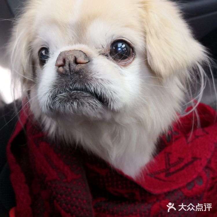 乒小乓，你想姐姐了吗？