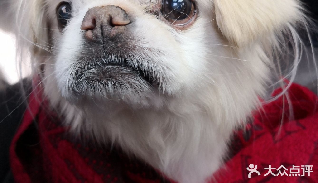 乒小乓,你想姐姐了吗?