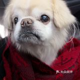 乒小乓,你想姐姐了吗?