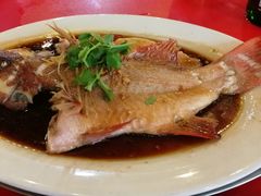 -大树下海鲜饭店