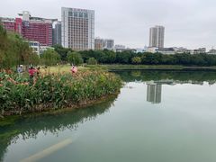 -南宁南湖公园